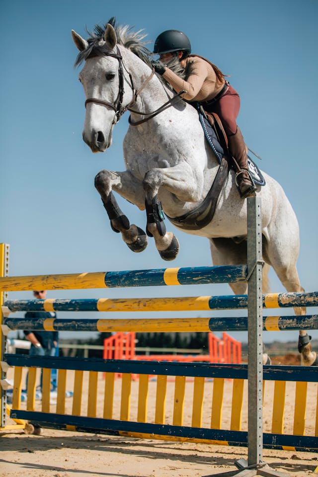 pexels-kelianpfl-7367730